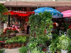 -宝鸡东道花鸟鱼虫市场(吉利花园商场店)