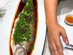 -新光酒家·河豚·海鲜·蟹料理(浦东店)