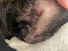 -comecome来吧宠物(奥克斯中心店)