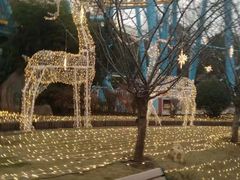 -锦江乐园舞狸花花游园会(夜场专享)