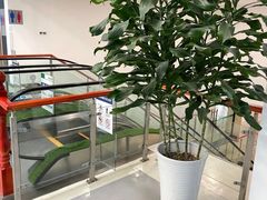 -大连何氏眼科医院