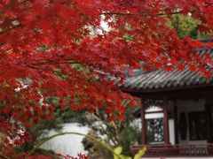 -汇龙潭
