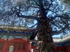 -北京国子监胡同