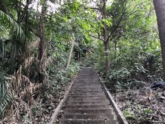 -火炉山森林公园