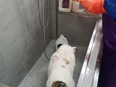 -宠福鑫康馨动物医院·骨科·眼科