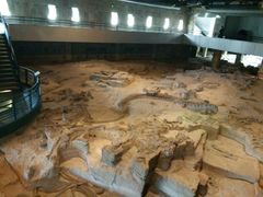 -自贡恐龙博物馆