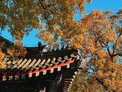 -香山公园