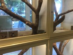 -龙猫仔乐园(惠福东路店)