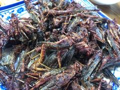 -老保定驴肉馆(云岗路店)