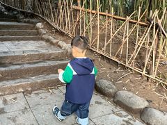 -大慈恩寺(大雁塔)