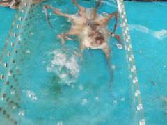 -清水湾3号(东方小周海鲜店)