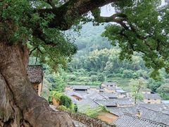 -杨家堂村