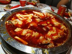 -蜀滋香鲜鱼美蛙火锅(339店)