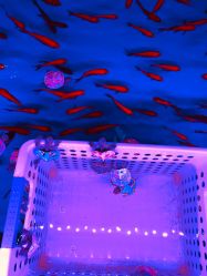 -多奇妙儿童乐园(昆山吾悦店)