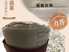 -哈根达斯(石家庄北国店)