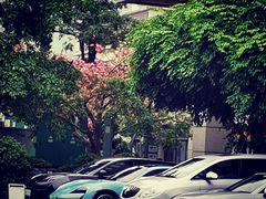 -珠海中海雅高铂尔曼酒店