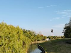 -合肥三国新城遗址公园