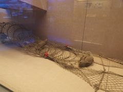 -呼伦贝尔民族博物馆