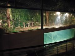 -清迈夜间动物园