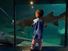 -香港皇家太平洋酒店