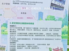 -御林古桑园