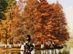 -白塘生态植物园