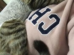 -艾贝尔宠物医院 ·内科全科(梁溪路店)