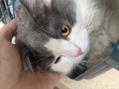 -爱派特动物医院·全科诊疗中心