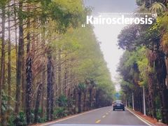 -上海海湾国家森林公园