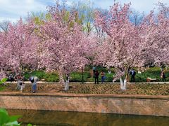 -元大都城垣遗址公园