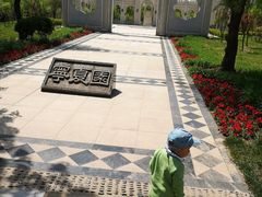 -武清南湖绿博园