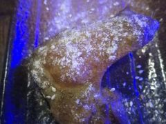 -质烤烤物·活烤海鲜(质烤总店)