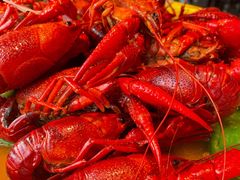 清水龙虾-王红军龙虾(新民路店)