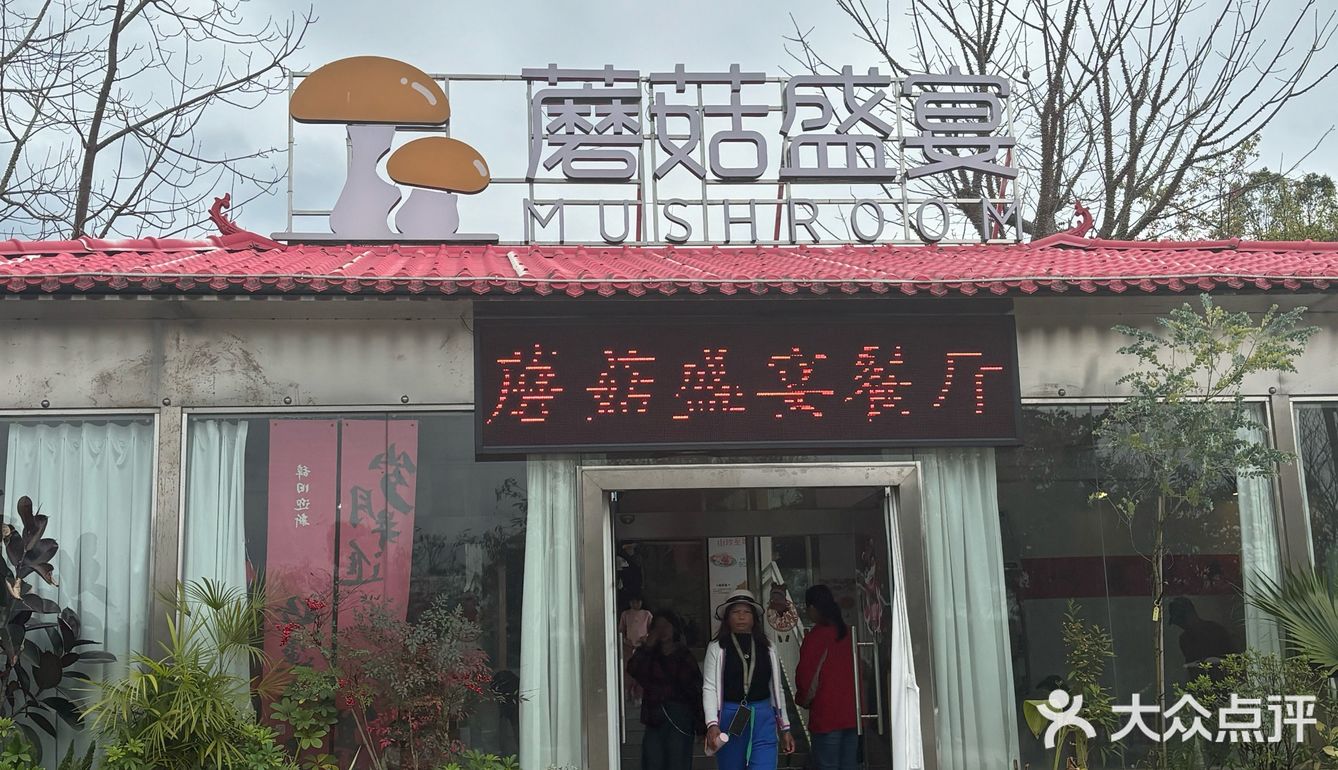 韶关周末去哪玩｜赏樱花🌸采菌子🍄
