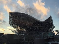 -小巴塞罗那海滩