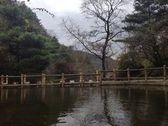 -王顺山国家森林公园