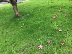 -手佳·水疗汇(嘉益店)