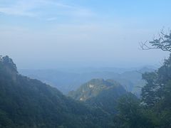 -老味道1992(武当山店)