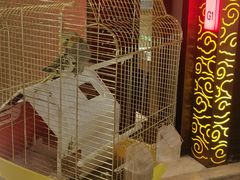 -华夏良子·足道SPA艾灸(翠微店)
