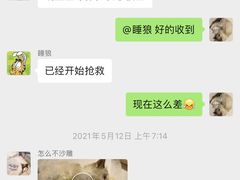 -喵百万·布偶·蓝金金渐层英短·猫舍(百子湾店)