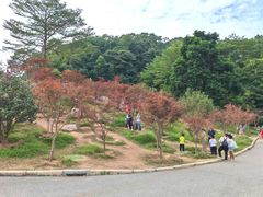 -广州市帽峰山景区