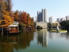 -荔湾湖公园