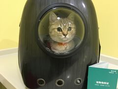 -瑞鹏宠物医院·爱宠堂·骨外专科(西荷分院)