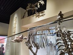 -国家自然博物馆