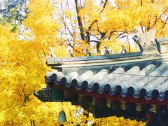 -香山公园