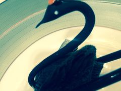 -成都龙之梦大酒店-龙悦中餐厅