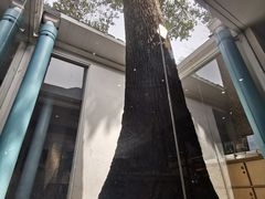 -三联韬奋书店(宽窄巷子店)