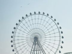 -琴岛之星摩天轮