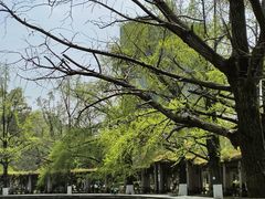 -四川大学(华西校区)