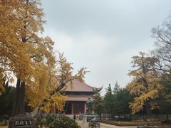 -苏州文庙(姑苏区)